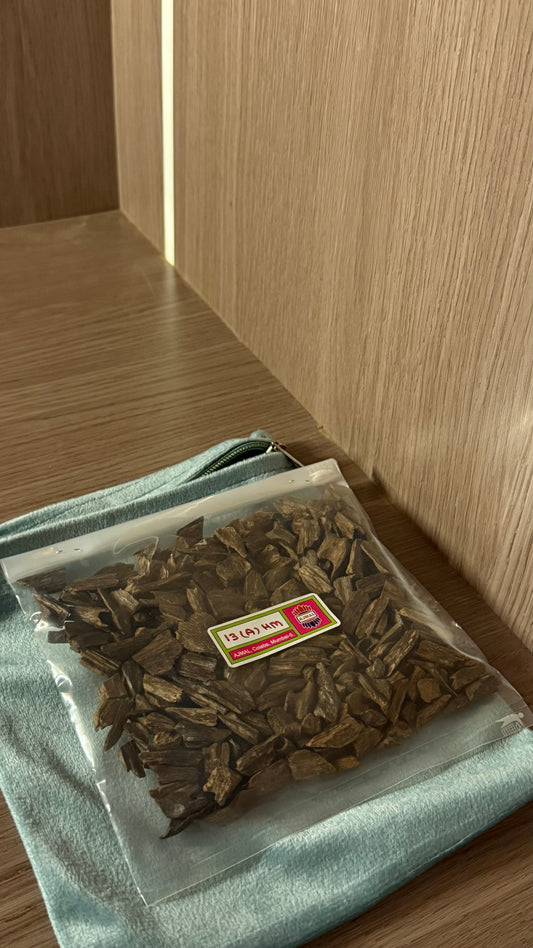 عود ١٣ موري من اجمل